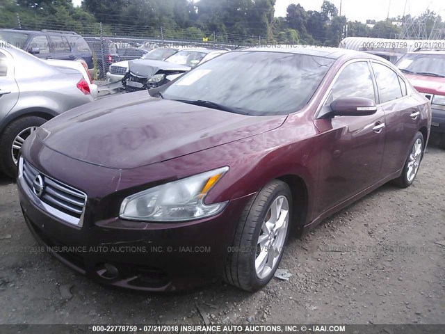 1N4AA5APXCC819228 - 2012 NISSAN MAXIMA S/SV RED photo 2