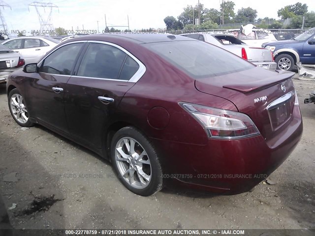 1N4AA5APXCC819228 - 2012 NISSAN MAXIMA S/SV RED photo 3
