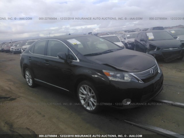 JTHBB1BA1A2003038 - 2010 LEXUS HS 250H BLACK photo 1