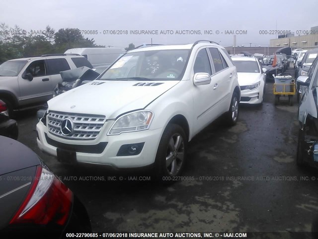 4JGBB86E39A499500 - 2009 MERCEDES-BENZ ML 350 WHITE photo 2