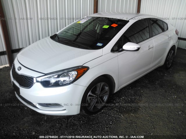 KNAFX4A84G5545470 - 2016 KIA FORTE EX WHITE photo 2