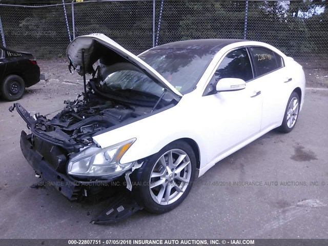 1N4AA51E39C837299 - 2009 NISSAN MAXIMA S/SV WHITE photo 2