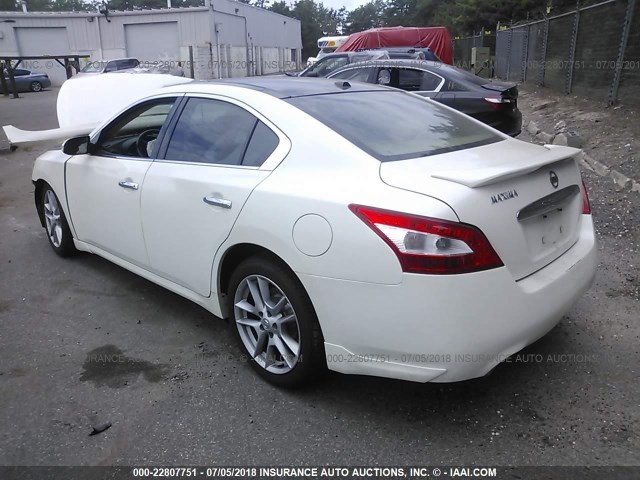 1N4AA51E39C837299 - 2009 NISSAN MAXIMA S/SV WHITE photo 3