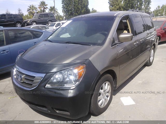 5FNRL3H74AB037377 - 2010 HONDA ODYSSEY EXL GOLD photo 2