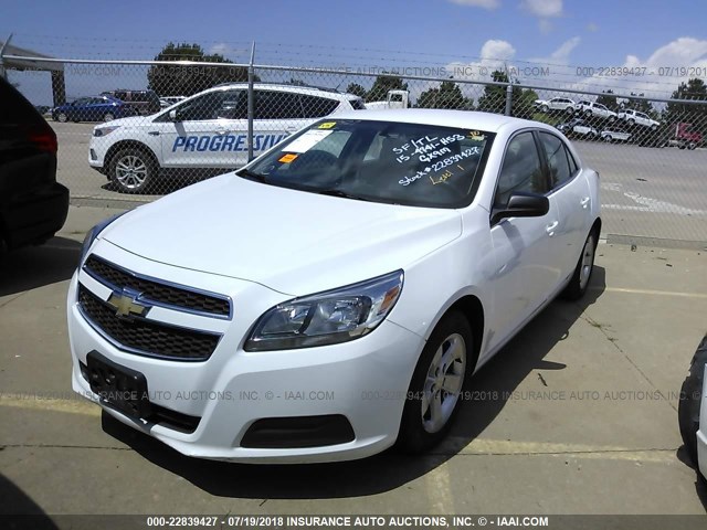 1G11B5SA2DF321891 - 2013 CHEVROLET MALIBU LS 白色 照片 2