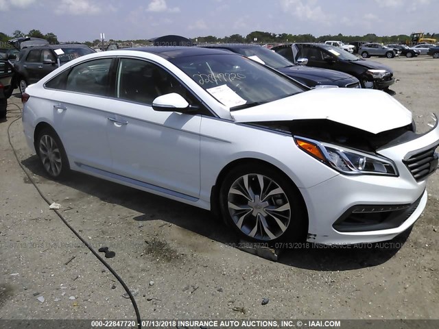 5NPE34AB0FH134507 - 2015 HYUNDAI SONATA SPORT/LIMITED WHITE photo 1