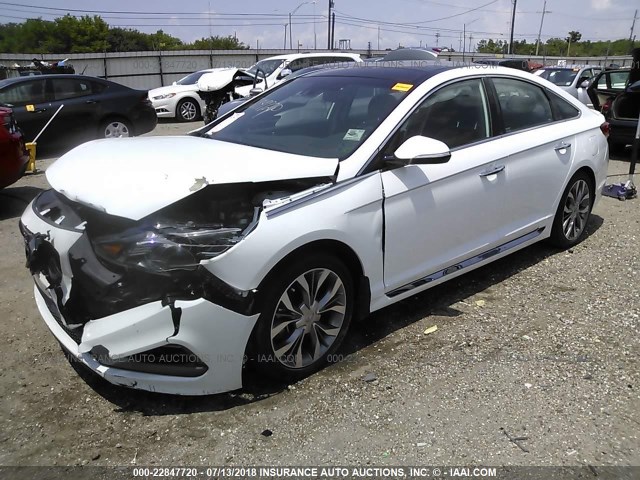 5NPE34AB0FH134507 - 2015 HYUNDAI SONATA SPORT/LIMITED WHITE photo 2