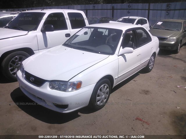 1NXBR12E51Z560826 - 2001 TOYOTA COROLLA CE/LE/S WHITE photo 2