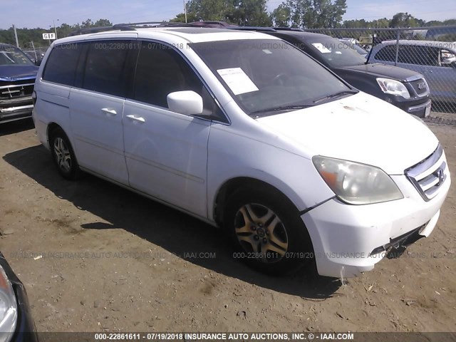 5FNRL38685B007361 - 2005 HONDA ODYSSEY EXL WHITE photo 1