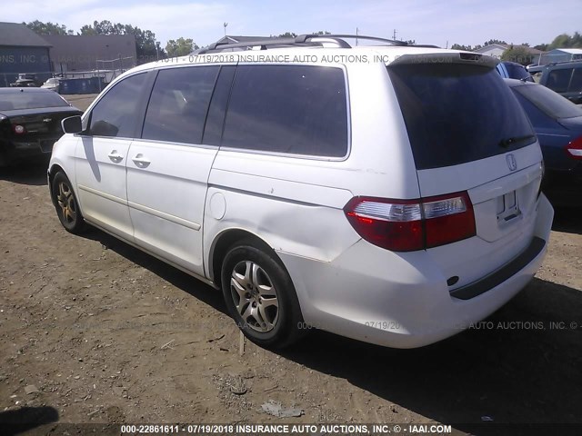 5FNRL38685B007361 - 2005 HONDA ODYSSEY EXL WHITE photo 3