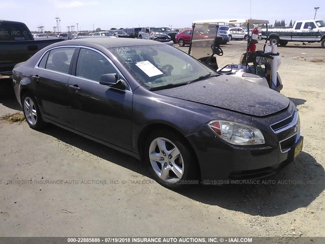 1G1ZA5E00AF281931 - 2010 CHEVROLET MALIBU LS Boz foto 1