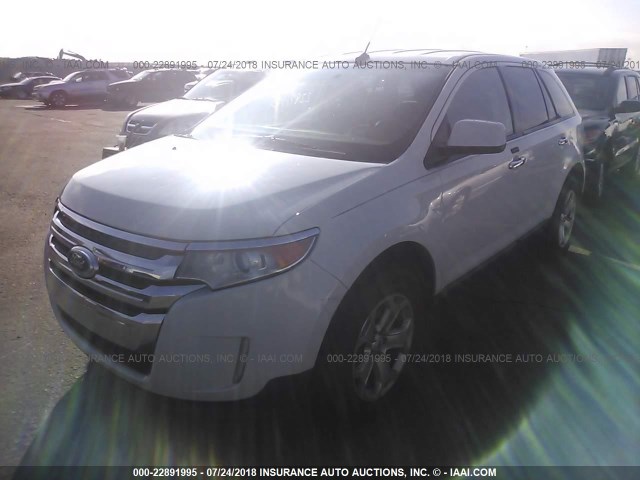 2FMDK3JCXBBA50178 - 2011 FORD EDGE SEL WHITE photo 2