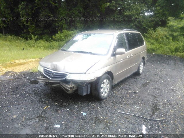 5FNRL18944B047403 - 2004 HONDA ODYSSEY EXL GOLD photo 2