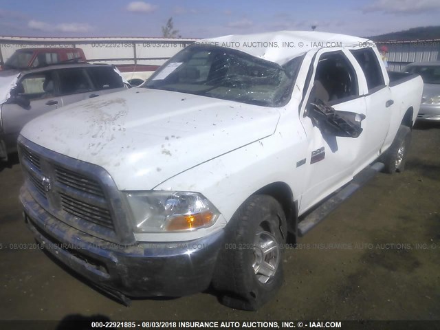 3C6TD5CT6CG168110 - 2012 DODGE RAM 2500 ST WHITE photo 2