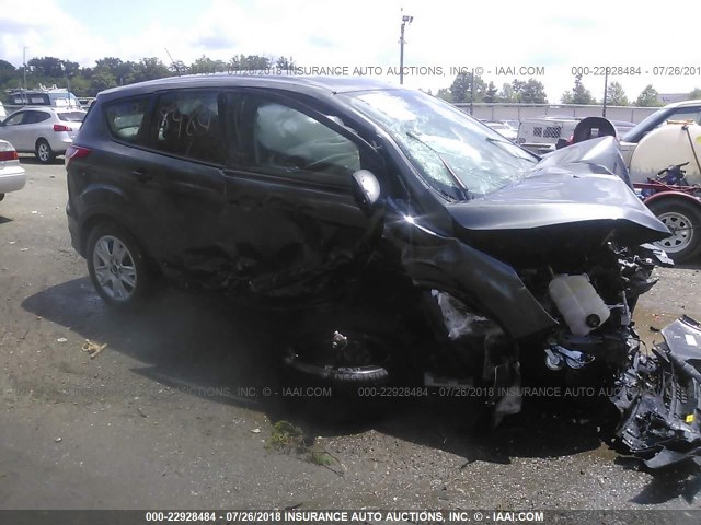 1FMCU0F78GUC37579 - 2016 FORD ESCAPE S GRAY photo 1