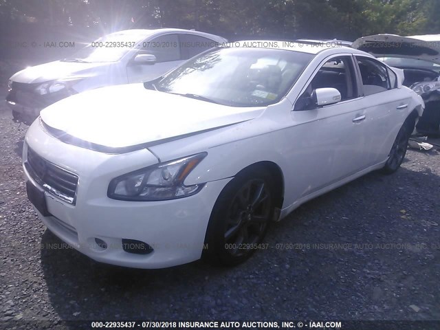 1N4AA5AP4DC843087 - 2013 NISSAN MAXIMA S/SV WHITE photo 2