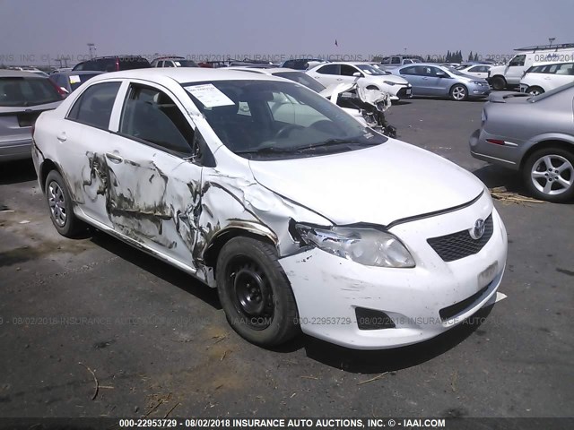 2T1BU4EE3AC395596 - 2010 TOYOTA COROLLA S/LE/XLE WHITE photo 1