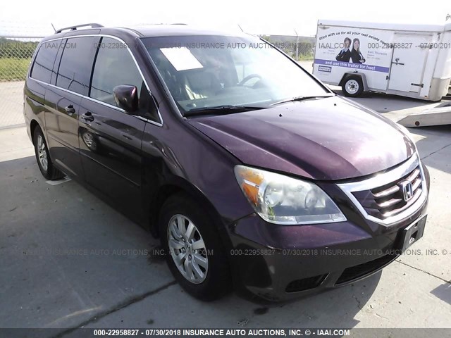 5FNRL38678B417315 - 2008 HONDA ODYSSEY EXL MAROON photo 1