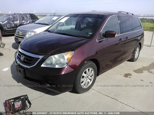 5FNRL38678B417315 - 2008 HONDA ODYSSEY EXL MAROON photo 2