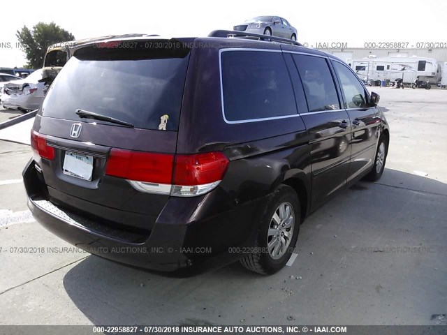 5FNRL38678B417315 - 2008 HONDA ODYSSEY EXL MAROON photo 4