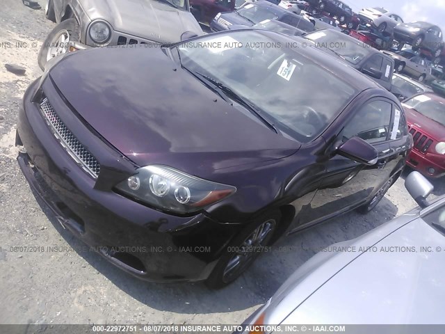JTKDE3B79A0310091 - 2010 TOYOTA SCION TC იასამნისფერი ფოტო 2