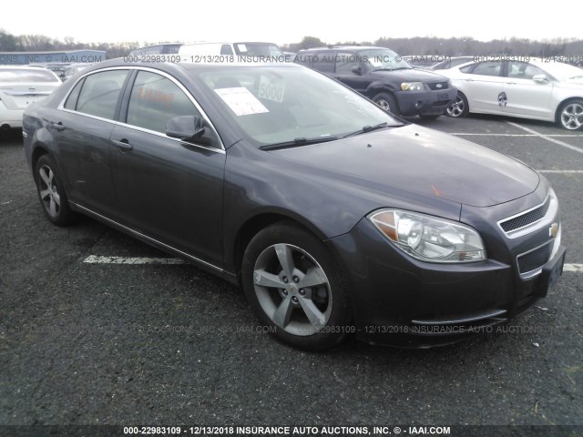1G1ZC5E17BF198632 - 2011 CHEVROLET MALIBU 1LT GRAY photo 1