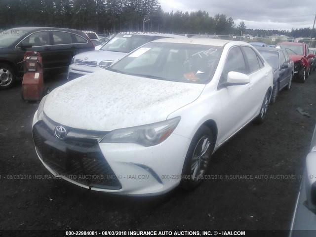 4T1BF1FK9GU183371 - 2016 TOYOTA CAMRY LE/XLE/SE/XSE WHITE photo 2