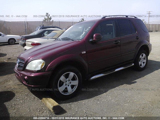 4JGAB74E1YA209262 - 2000 MERCEDES-BENZ ML 55 MAROON photo 2