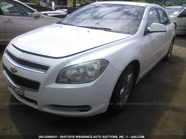 1G1ZC5EB4AF153607 - 2010 CHEVROLET MALIBU 1LT WHITE photo 2