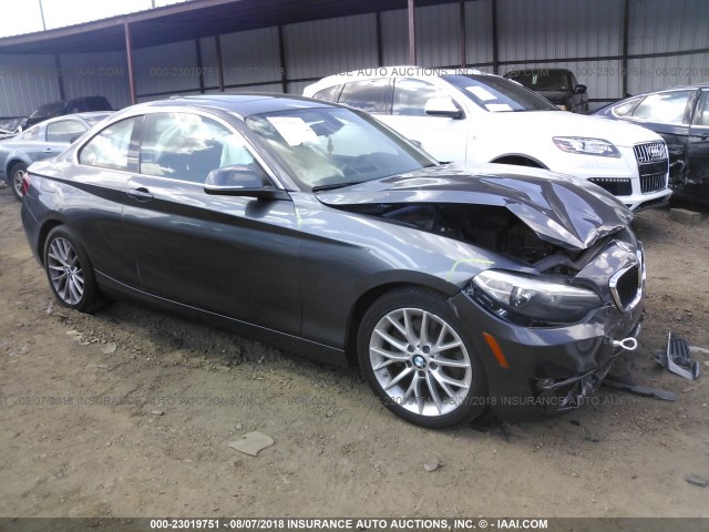 WBA1F5C52EVV99059 - 2014 BMW 228 I GRAY photo 1