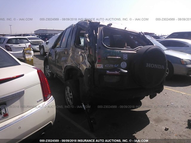 SHSRD78823U103482 - 2003 HONDA CR-V EX GOLD photo 3