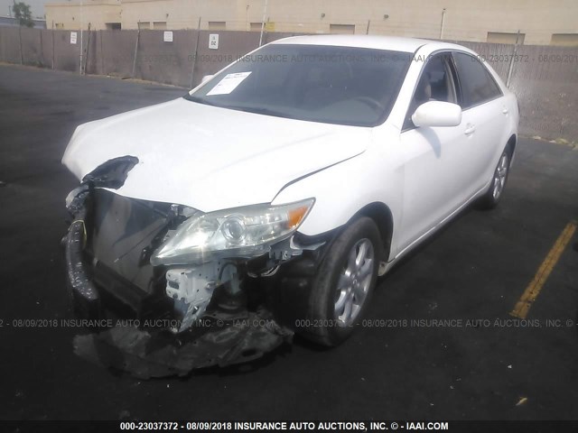 4T4BF3EK5BR206625 - 2011 TOYOTA CAMRY SE/LE/XLE WHITE photo 2