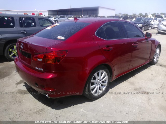 JTHBK262X85053938 - 2008 LEXUS IS 250 RED photo 4