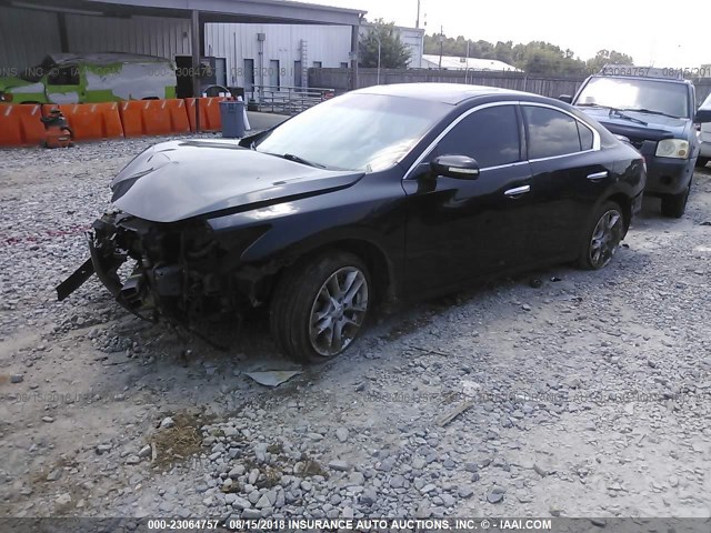 1N4AA5AP3AC872169 - 2010 NISSAN MAXIMA S/SV BLACK photo 2