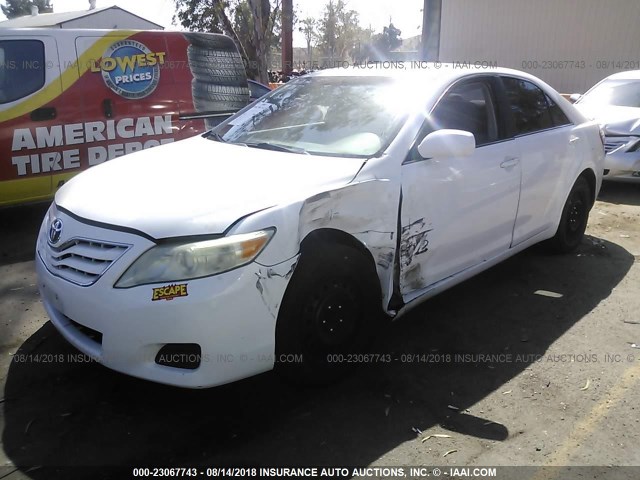 4T4BF3EK5BR148807 - 2011 TOYOTA CAMRY SE/LE/XLE WHITE photo 2