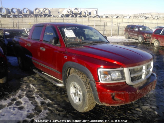 1D7CW7GP9AS105980 - 2010 DODGE DAKOTA TRX RED photo 1