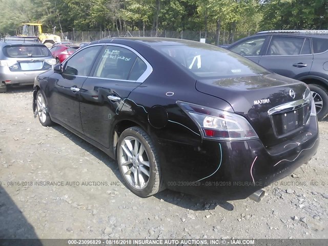 1N4AA5AP0CC850794 - 2012 NISSAN MAXIMA S/SV PURPLE photo 3