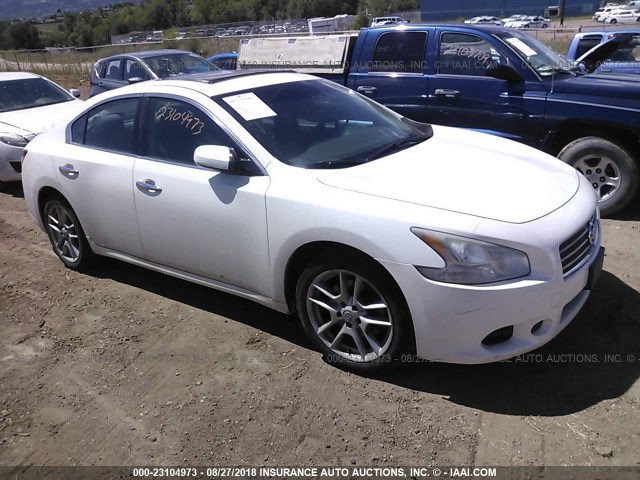 1N4AA51E49C840373 - 2009 NISSAN MAXIMA S/SV WHITE photo 1