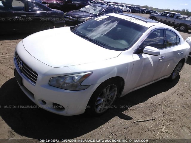 1N4AA51E49C840373 - 2009 NISSAN MAXIMA S/SV WHITE photo 2