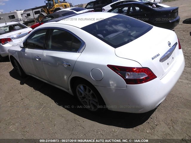 1N4AA51E49C840373 - 2009 NISSAN MAXIMA S/SV WHITE photo 3