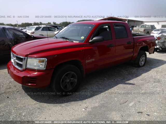 1D7HW38K38S538948 - 2008 DODGE DAKOTA SXT RED photo 2