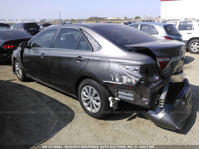 4T1BF1FK7HU332121 - 2017 TOYOTA CAMRY LE/XLE/SE/XSE GRAY photo 3
