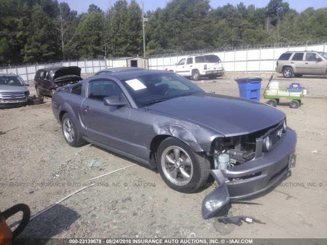 1ZVFT82HX65173293 - 2006 FORD MUSTANG GT GRAY photo 1