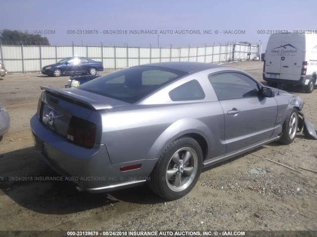 1ZVFT82HX65173293 - 2006 FORD MUSTANG GT GRAY photo 4