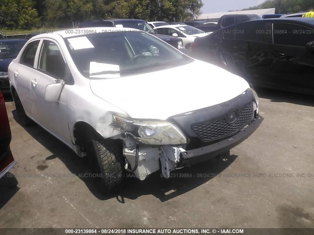 2T1BU4EE6AC427442 - 2010 TOYOTA COROLLA S/LE/XLE WHITE photo 1