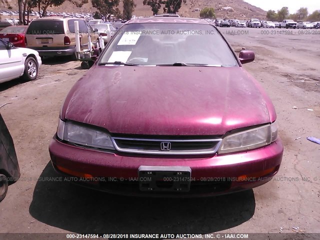 1HGCD5668VA224517 - 1997 HONDA ACCORD EX/EX-R MAROON photo 6