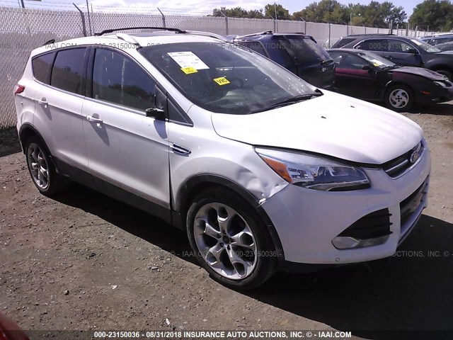 1FMCU0JX9EUC16499 - 2014 FORD ESCAPE TITANIUM WHITE photo 1