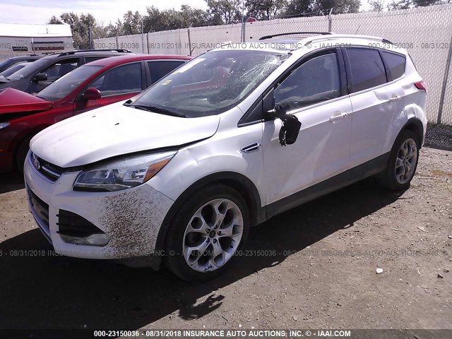 1FMCU0JX9EUC16499 - 2014 FORD ESCAPE TITANIUM WHITE photo 2