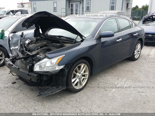 1N4AA5AP5EC467324 - 2014 NISSAN MAXIMA S/SV BLUE photo 2