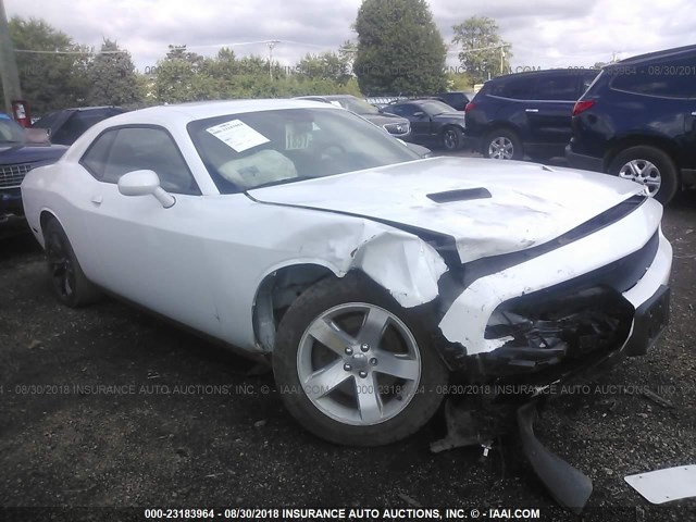 2C3CDZAG9GH337374 - 2016 DODGE CHALLENGER SXT WHITE photo 1